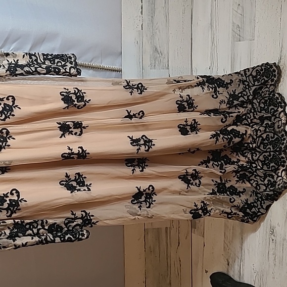 NWT F21 Lace Embroidered Maxi dress in black and tan Size Large - Picture 4 of 9